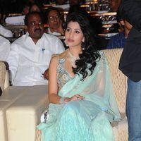 Anjali Lavania - Panja Audio Release - Pictures | Picture 128246